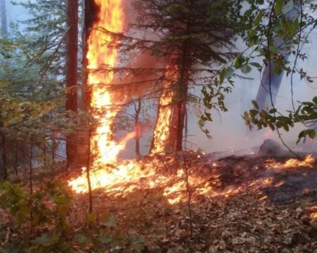 Пожарът над Югово се разгоря отново