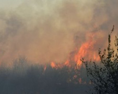 Десетки пожарникари, войници и доброволци се борят с огненото бедствие над Югово