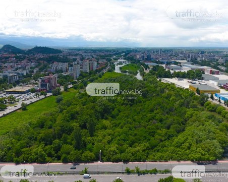 Река Марица се превърна в джунгла -  заплашен ли е Пловдив от бедствия като в Германия?