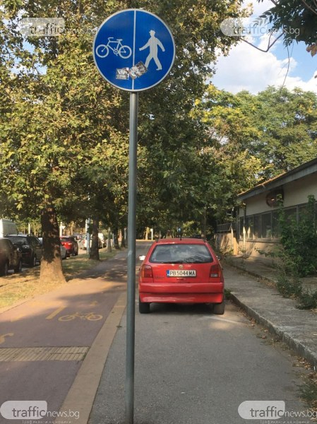 Забраните не важат за всички: Пловдивчанин паркира колата си върху пешеходна алея