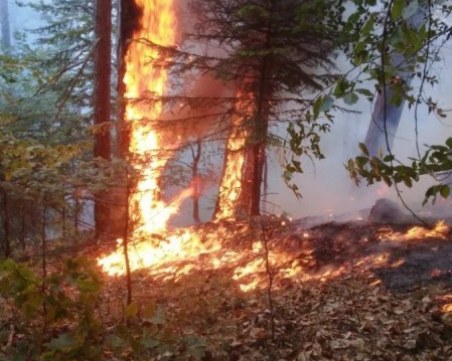 Два нови пожара над Асеновград, продължава борбата с бедствието над Югово