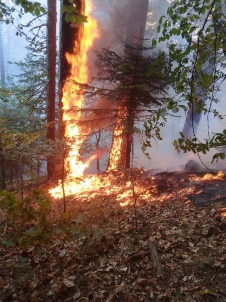Два нови пожара над Асеновград, продължава борбата с бедствието над Югово