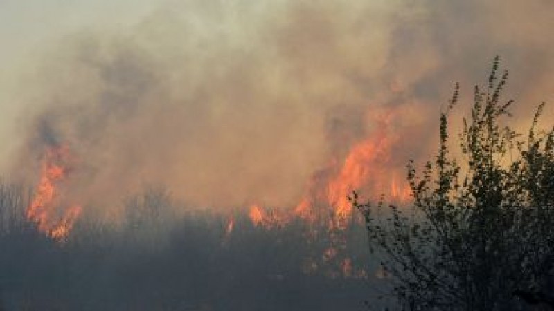 Огненият ад в Родопи продължава, два хеликоптера и 100 души гасят пожара