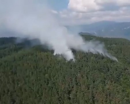 Пожарникари и горски дежуриха край Югово, борбата с огъня продължава от нова позиция