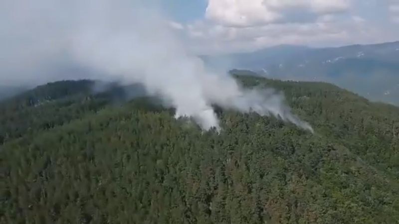 Пожарникари и горски дежуриха край Югово, борбата с огъня продължава от нова позиция