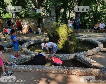 На Бачковския манастир: Деца обират стотинките на миряните от шадравана