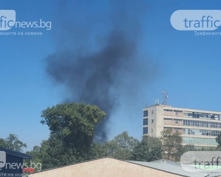 Пожарът в Столипиново тръгнал от Рогошко шосе