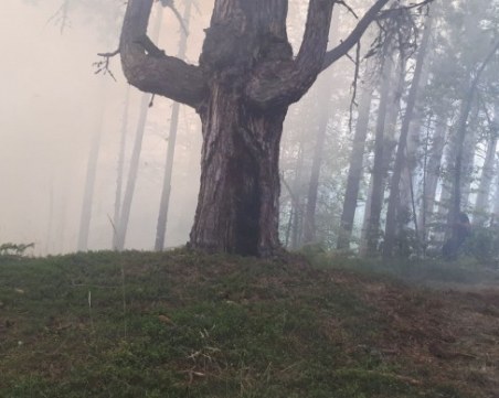Търсят се доброволци за гасенето на пожара над Югово и Нареченски бани