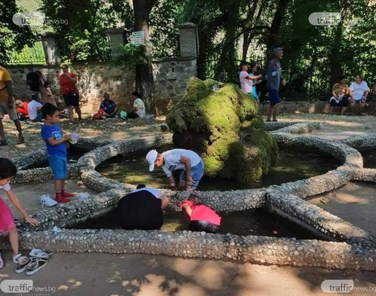 На Бачковския манастир: Деца обират стотинките на миряните от шадравана