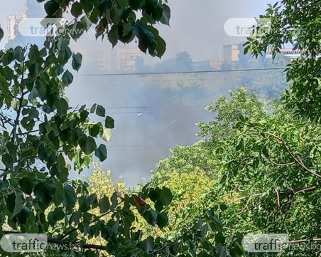 Детска игра е причинила огъня до Ботаническата градина в Пловдив