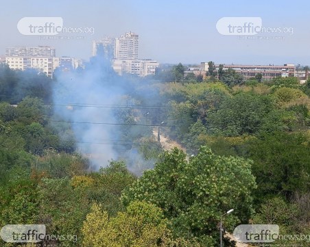 Пожар обхвана Ботаническата градина в Пловдив