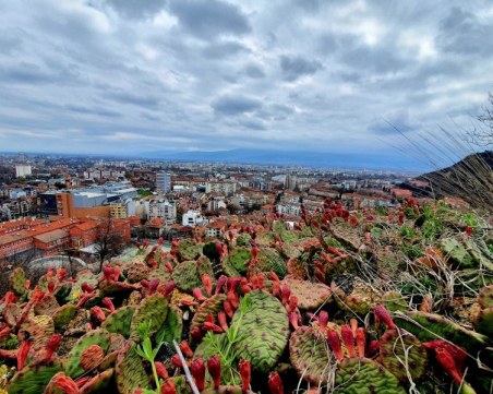 Валежи в голяма част от страната, в Пловдив ще е слънчево