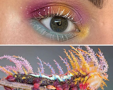 Зашеметяващи грим визии, вдъхновени от насекоми