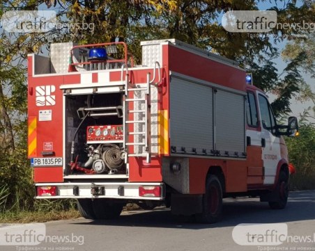 120 декара иглолистна гора са унищожени при пожар край Стрелча