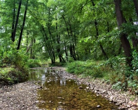 Две нови защитени територии обяви министър Личев