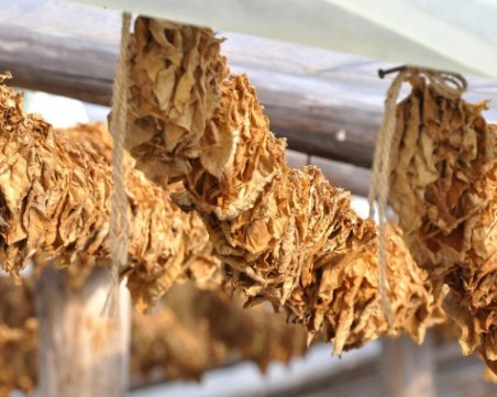 Задържаха двама в Шекер махала за контрабанда