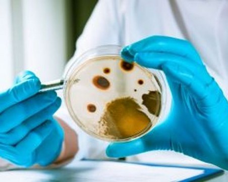 Лекуват пациент с листериоза у нас