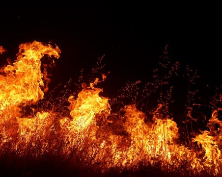 Огнен ужас: Животновъдна ферма изгоря край Велинград