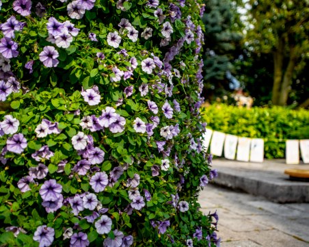 Слънчева неделя в Пловдив, утре градусите скачат