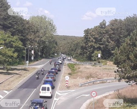 Катастрофа причини зверска тапа на Южното Черноморие (обновена)