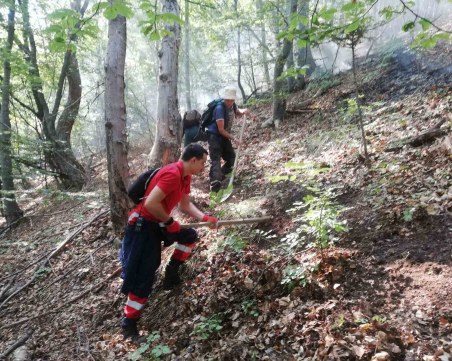 Локализираха пожара над Югово