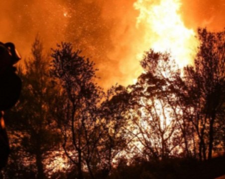 Търсят се доброволци за пожара край Югово, пловдивски формирования с апел: 