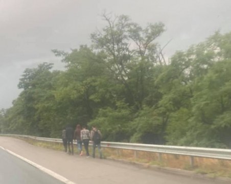 Шофьор: Група мигранти се движи по АМ Тракия