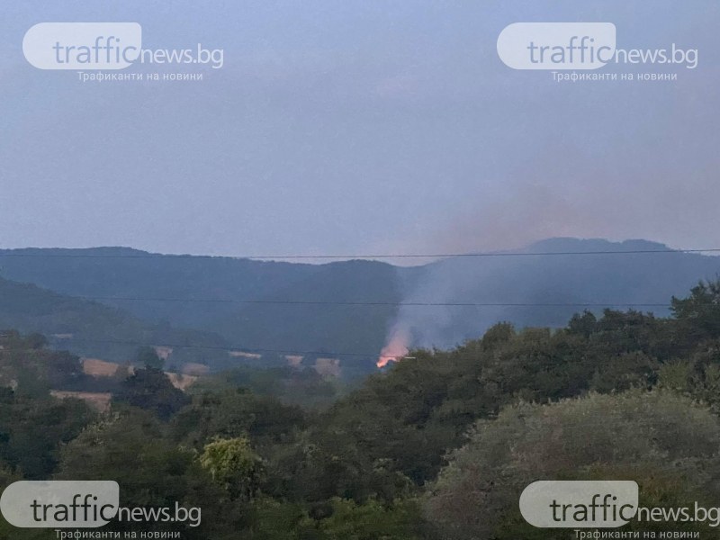 Пожар пламна в гората над село Розовец