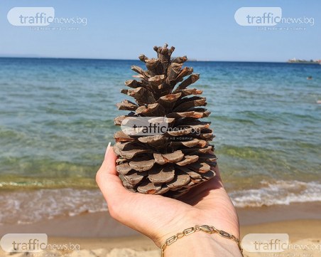 Секновение е! От днес морето започва да изстива