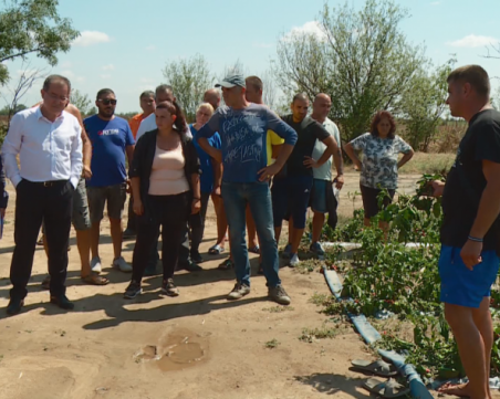 Производители искат компенсации заради щетите от градушката в Пловдив