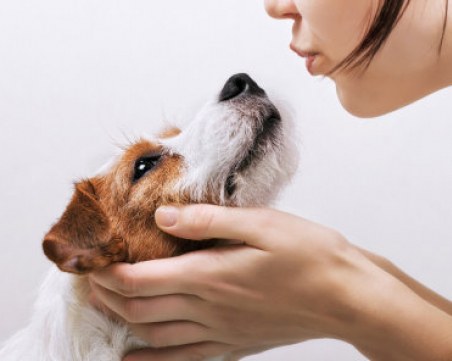 Как стресът на човека се отразява на неговия домашен любимец?