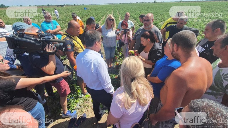 Земеделският министър: Само 10 земеделци са поискали компенсации след градушката в Пловдивско