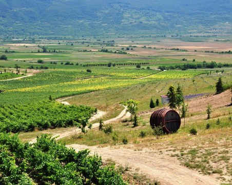 Голям празник ще се проведе във Вила Юстина