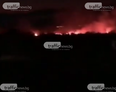 Пожар бушува край пловдивското село Белащица