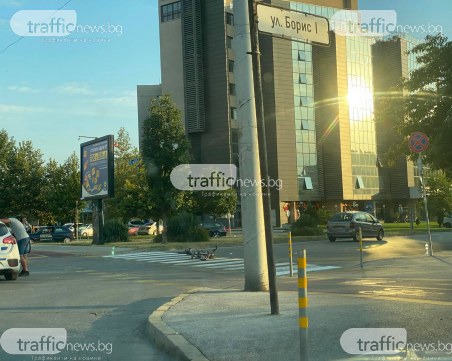 Блъснаха колоездач на пешеходна пътека в Тракия