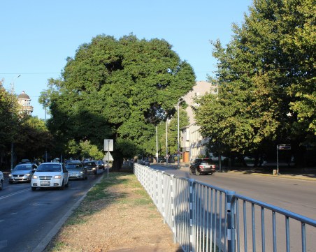 Монтираха нови мантинели по бул. 