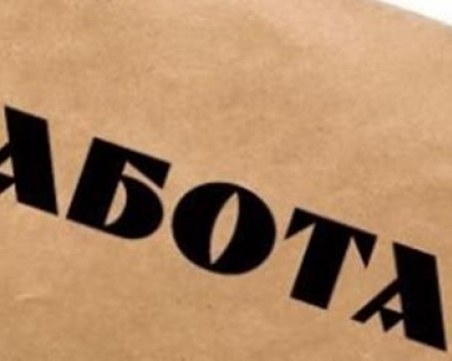 МТСП: С близо 14% е намалял броят на продължително безработните за година