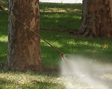 Пръскат за кърлежи през септември, кога и къде да внимаваме в парковете