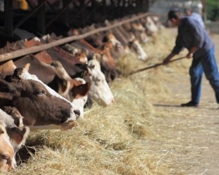 ГЕРБ иска 70 млн. лева за подкрепа на земеделците