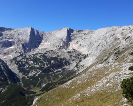 Спасителна акция в Пирин! Издирват овчар