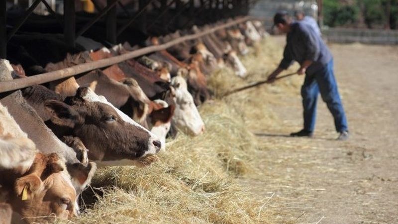 ГЕРБ иска 70 млн. лева за подкрепа на земеделците