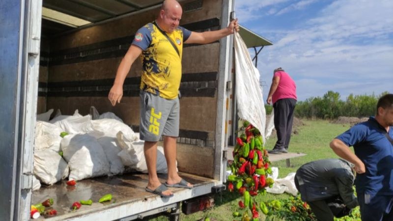 Земеделци изсипаха продукцията си край пътя Пловдив-Карлово
