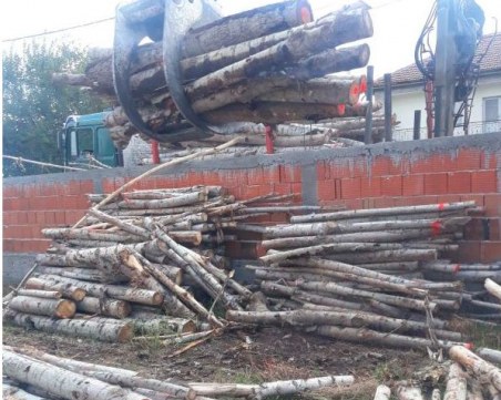 Горски спипаха бракониери на дървесина в две пловдивски села, съставени са три акта