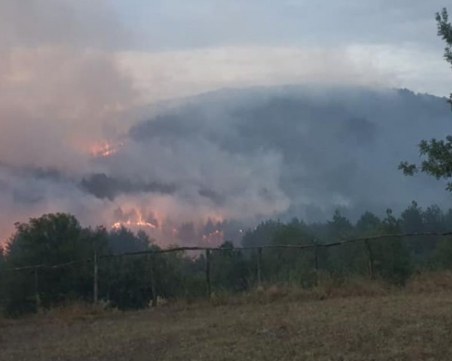 Локализираха пожара в Кирково, все още има тлеещи огнища