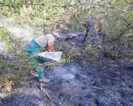 Пожар гори край Каблешково, пламнал от самозапалил се автомобил