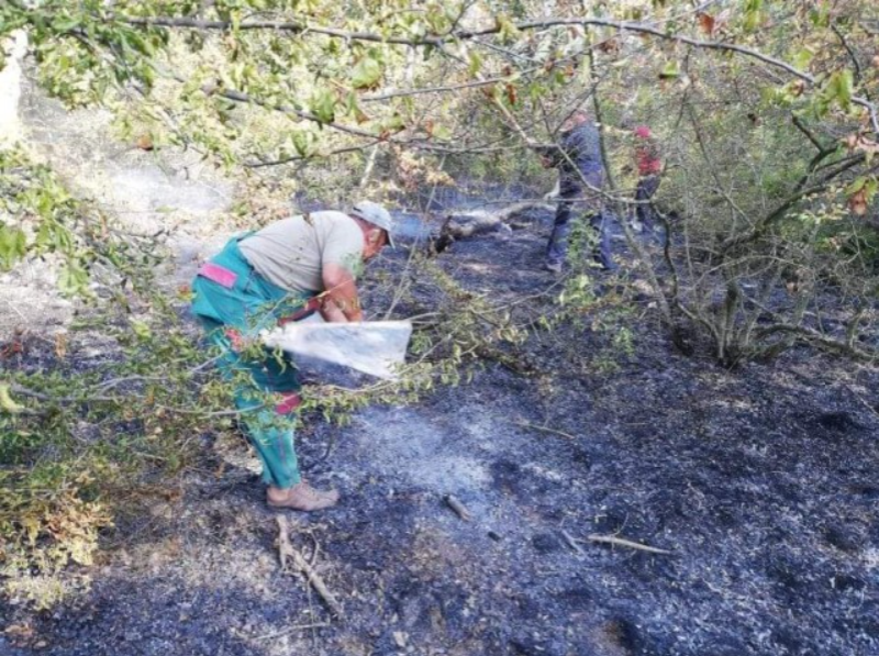 Пожар гори край Каблешково, пламнал от самозапалил се автомобил