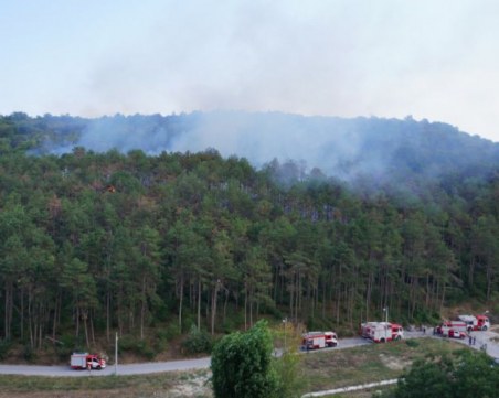Пожар гори в квартал 