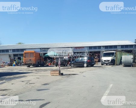 Незаконен търговец на животни от Пловдив отърва солена глоба, причина – опорочен акт