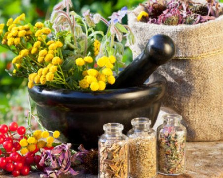 5 билки, с които ще ускорите растежа на косата