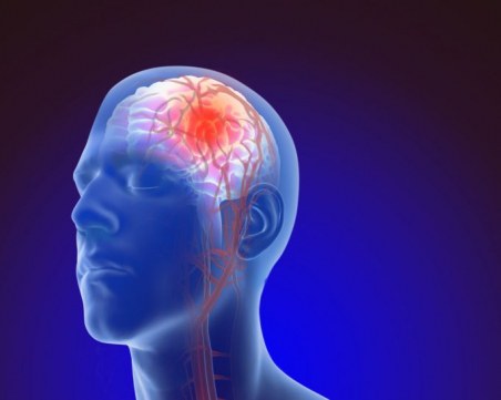 Започна информационна кампания 